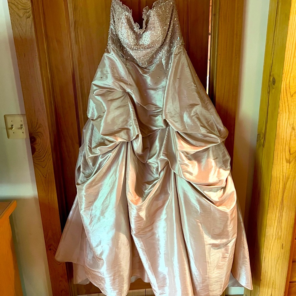 Prom/Special Occasion Dress
